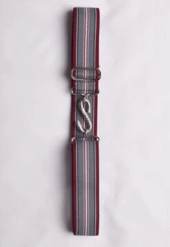 Elasticated Snake Belts (BR750) -Urban Mode Shop DSC 2820 1