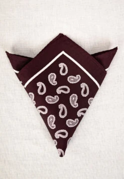 Printed Silk Pocket Square (HA96K) -Urban Mode Shop Dark Wine Paisley