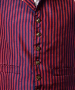 Limited Edition Regency Stripe Waistcoat (WC1820U) -Urban Mode Shop WC1830 detail